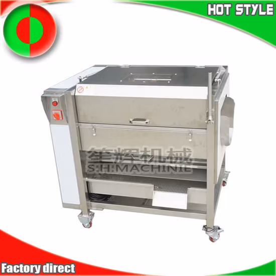 자동 물고기 규모 제거 기계 카사바 필러 브러시 생강 청소 기계 커버 오렌지 세탁기 감자 필링 기계